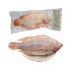 Cá diêu hồng Việt Nam xuất khẩu tại Nhật - Siêu thị đồ Việt